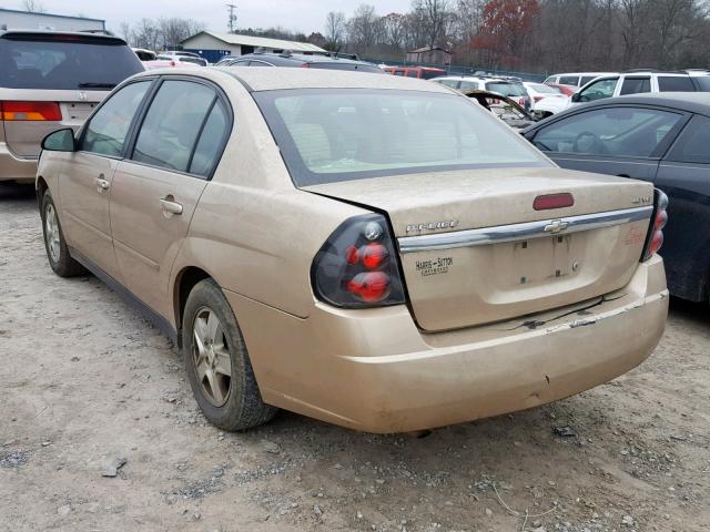 1G1ZT52825F210918 - 2005 CHEVROLET MALIBU LS 米色 照片 3