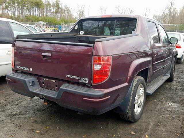 5FPYK1F58BB004900 - 2011 HONDA RIDGELINE BURGUNDY photo 4