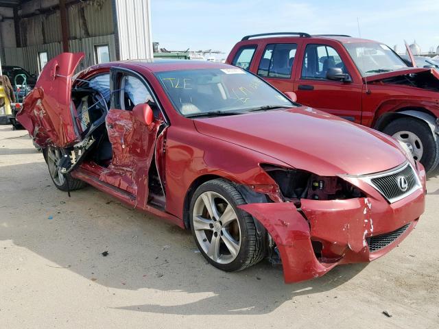 JTHBF5C29C5156884 - 2012 LEXUS IS 250 RED photo 1