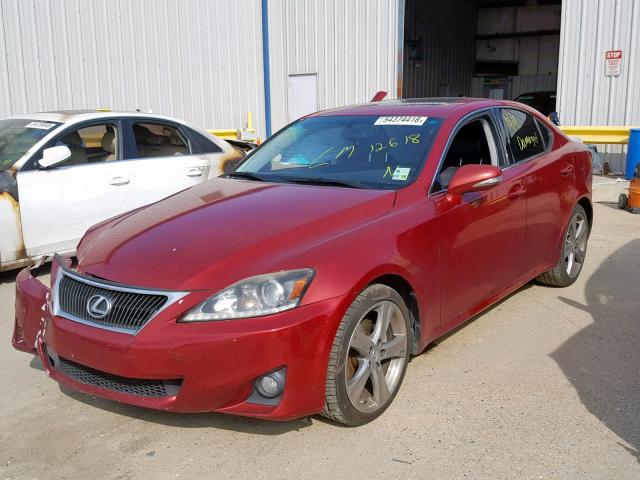 JTHBF5C29C5156884 - 2012 LEXUS IS 250 RED photo 2