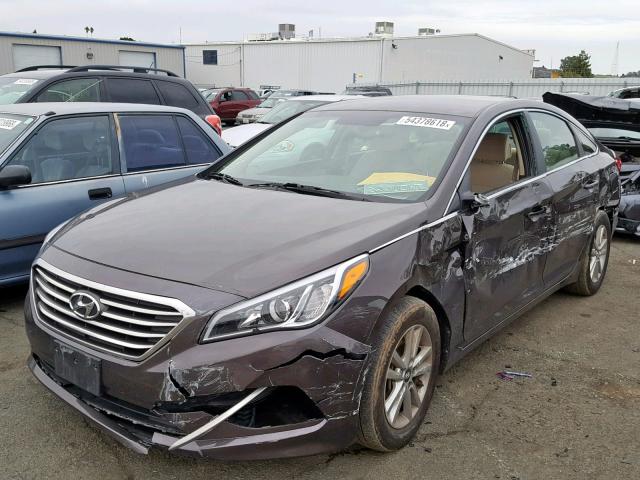 5NPE24AF8GH327320 - 2016 HYUNDAI SONATA SE BROWN photo 2