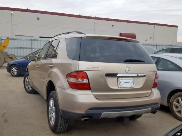 4JGBB86E56A024605 - 2006 MERCEDES-BENZ ML 350 GOLD photo 3