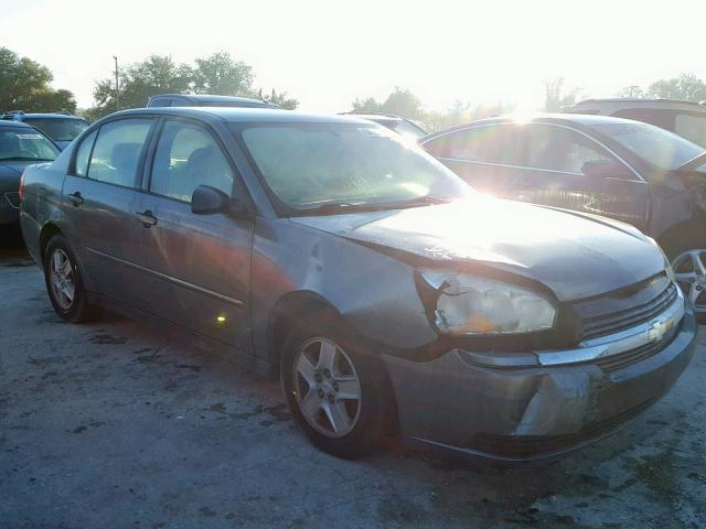 1G1ZT52894F211711 - 2004 CHEVROLET MALIBU LS GRAY photo 1