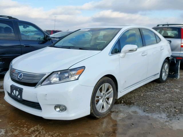 JTHBB1BA8A2008981 - 2010 LEXUS HS 250H WHITE photo 2