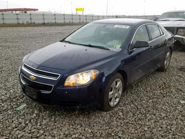 1G1ZB5E00CF244233 - 2012 CHEVROLET MALIBU LS 蓝色 照片 2