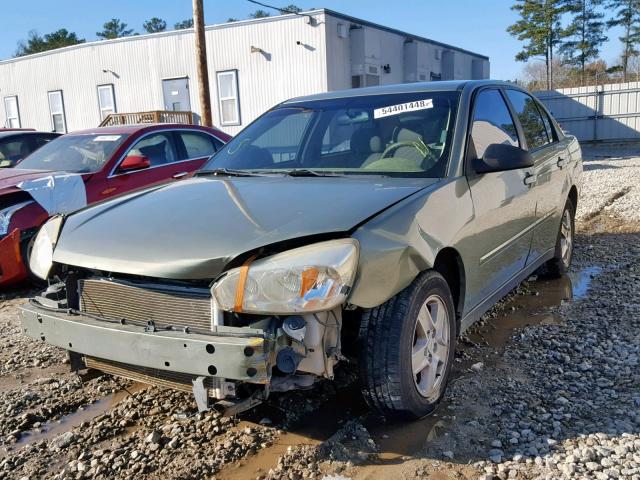 1G1ZT52815F259768 - 2005 CHEVROLET MALIBU LS Կանաչ լուսանկար 2