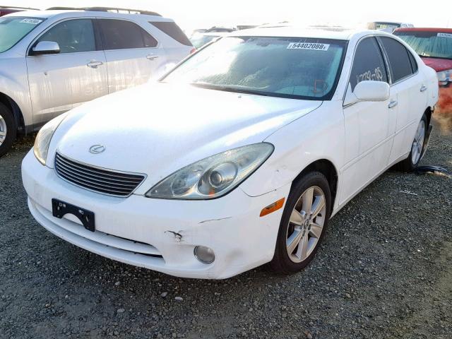 JTHBA30G855101638 - 2005 LEXUS ES 330 WHITE photo 2