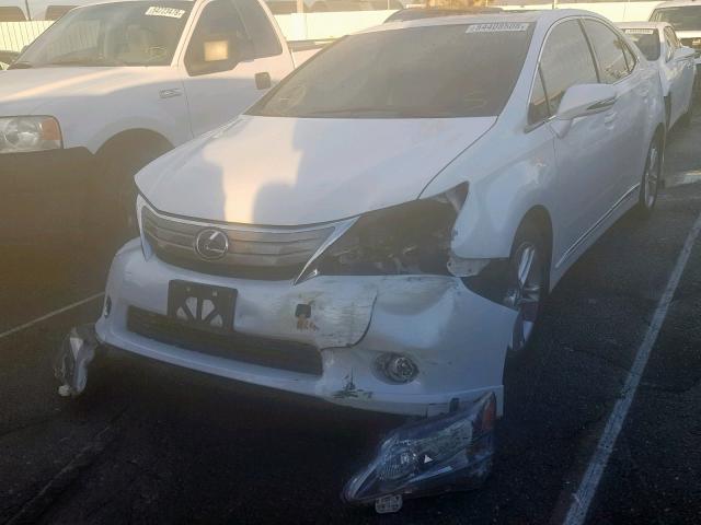 JTHBB1BA6A2036827 - 2010 LEXUS HS 250H WHITE photo 2