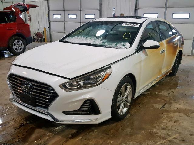 5NPE34AF9JH646049 - 2018 HYUNDAI SONATA SPO WHITE photo 2