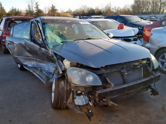 1N4BL11D06C108235 - 2006 NISSAN ALTIMA SE GRAY photo 1