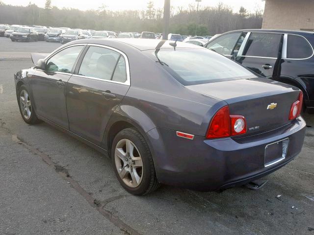 1G1ZB5EB5AF231766 - 2010 CHEVROLET MALIBU LS Boz foto 3