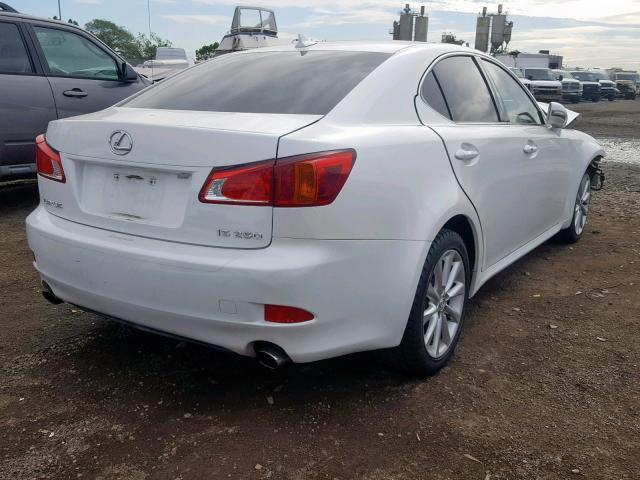 JTHBF5C20A2096699 - 2010 LEXUS IS 250 WHITE photo 4