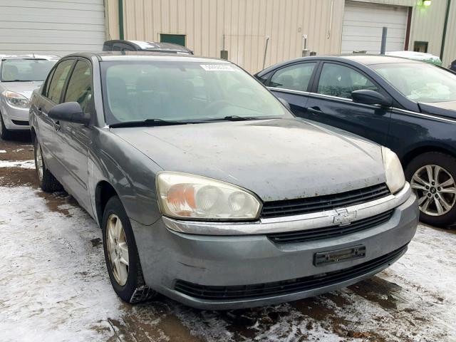 1G1ZT52865F317311 - 2005 CHEVROLET MALIBU LS Boz foto 1