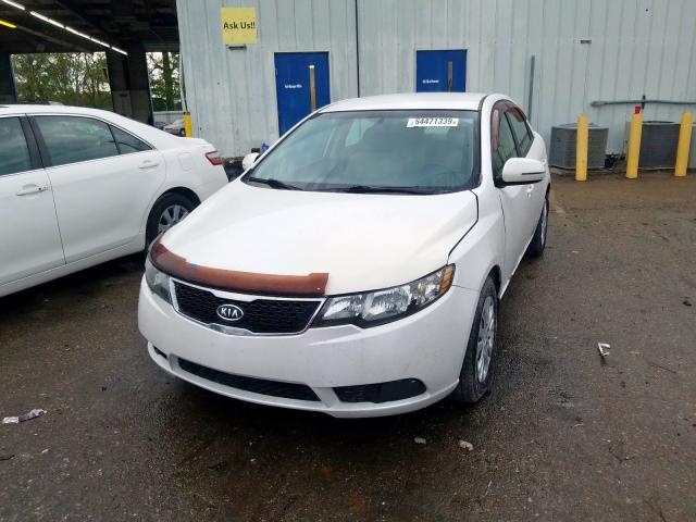 KNAFU4A28B5892099 - 2011 KIA FORTE EX WHITE photo 2