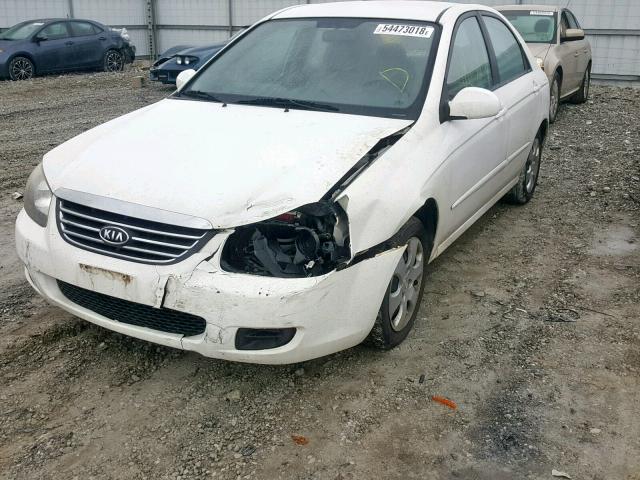 KNAFE221195654130 - 2009 KIA SPECTRA EX WHITE photo 2