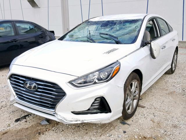 5NPE34AF3JH668256 - 2018 HYUNDAI SONATA SPO WHITE photo 2