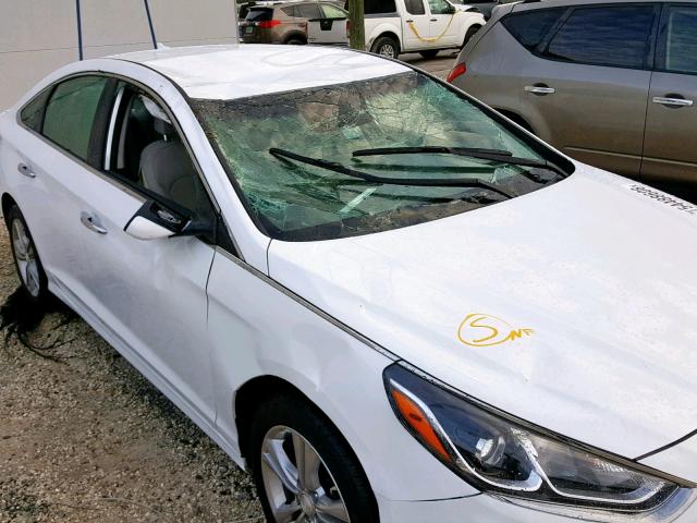 5NPE34AF3JH668256 - 2018 HYUNDAI SONATA SPO WHITE photo 9