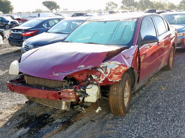 1G1ZT52855F314559 - 2005 CHEVROLET MALIBU LS RED photo 2