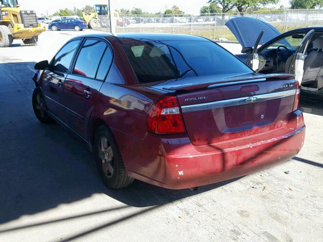 1G1ZT52855F314559 - 2005 CHEVROLET MALIBU LS RED photo 3