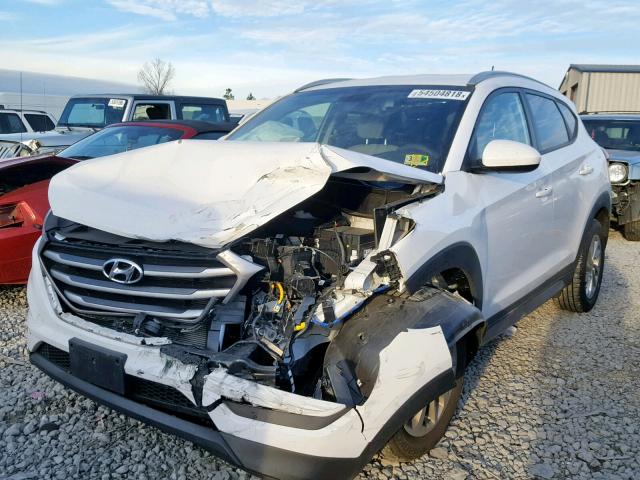 KM8J3CA46HU289397 - 2017 HYUNDAI TUCSON LIM WHITE photo 2