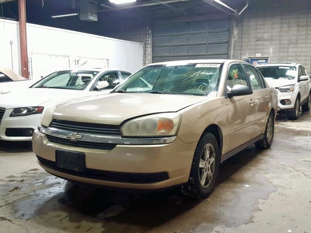 1G1ZT54885F194690 - 2005 CHEVROLET MALIBU LS 金色 照片 2