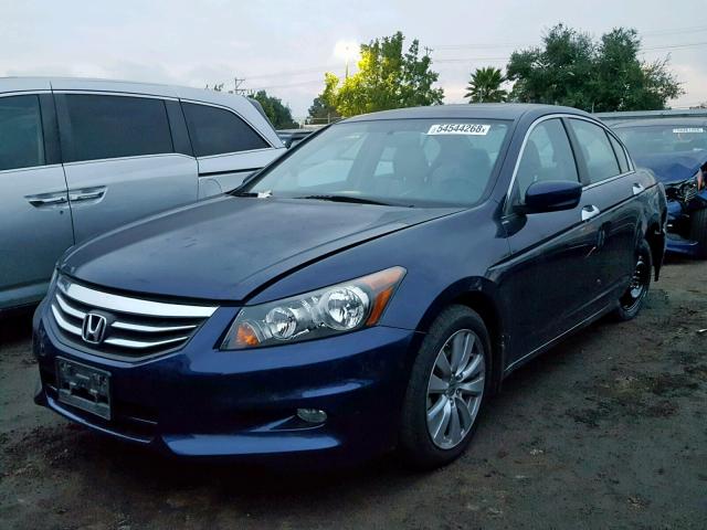 1HGCP3F8XCA005925 - 2012 HONDA ACCORD EXL BLUE photo 2