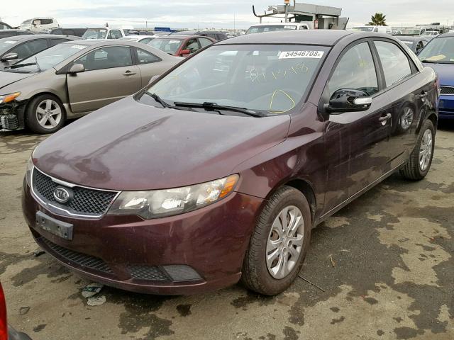 KNAFU4A22A5175146 - 2010 KIA FORTE EX PURPLE photo 2