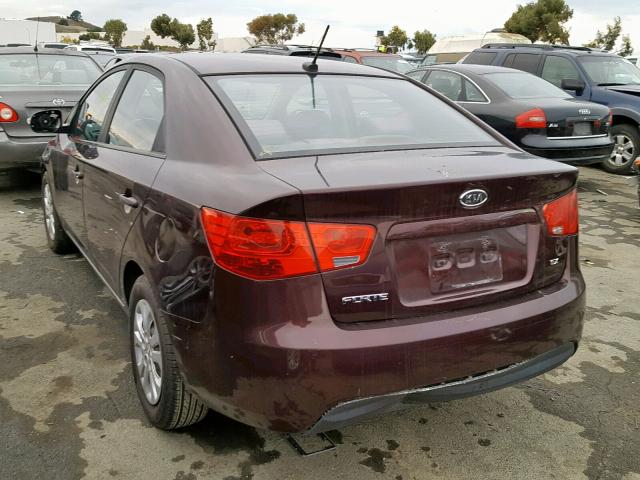 KNAFU4A22A5175146 - 2010 KIA FORTE EX PURPLE photo 3