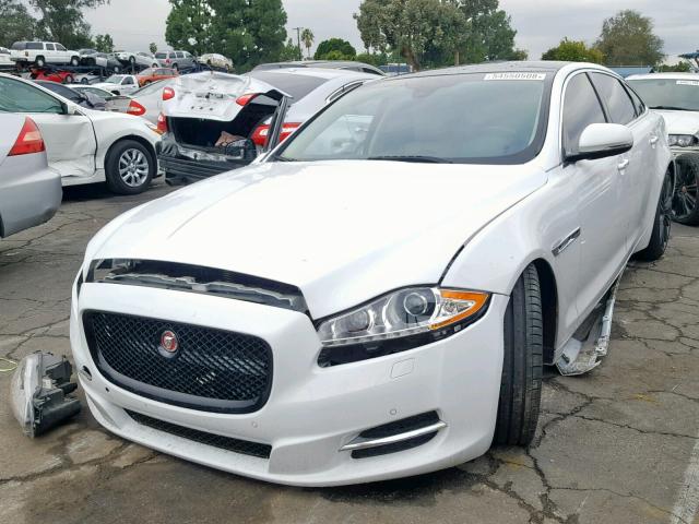 SAJWA2GT9FMV82380 - 2015 JAGUAR XJL SUPERC WHITE photo 2