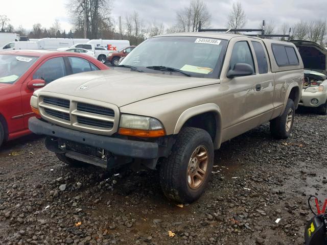 1D7HG12X83S128340 - 2003 DODGE DAKOTA SXT GOLD photo 2