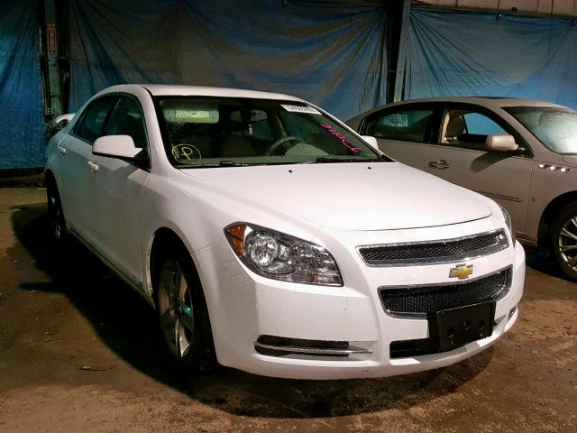 1G1ZH57BX9F108441 - 2009 CHEVROLET MALIBU 1LT 白色 照片 1