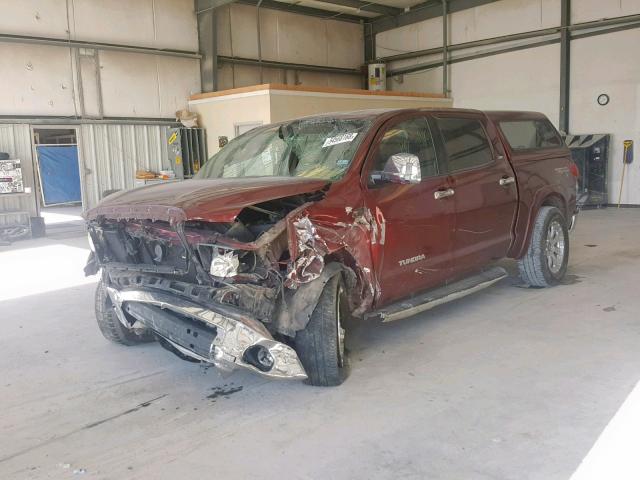 5TFEV54168X056132 - 2008 TOYOTA TUNDRA CRE BURGUNDY photo 2