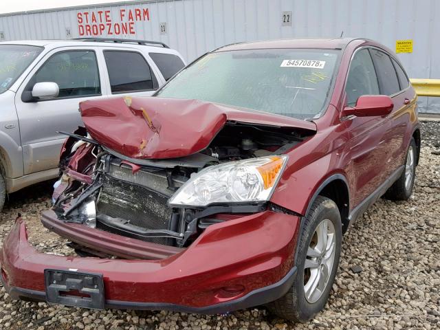 5J6RE4H75BL057453 - 2011 HONDA CR-V EXL BURGUNDY photo 2