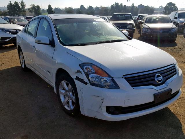 1N4CL21E39C119575 - 2009 NISSAN ALTIMA HYB WHITE photo 1