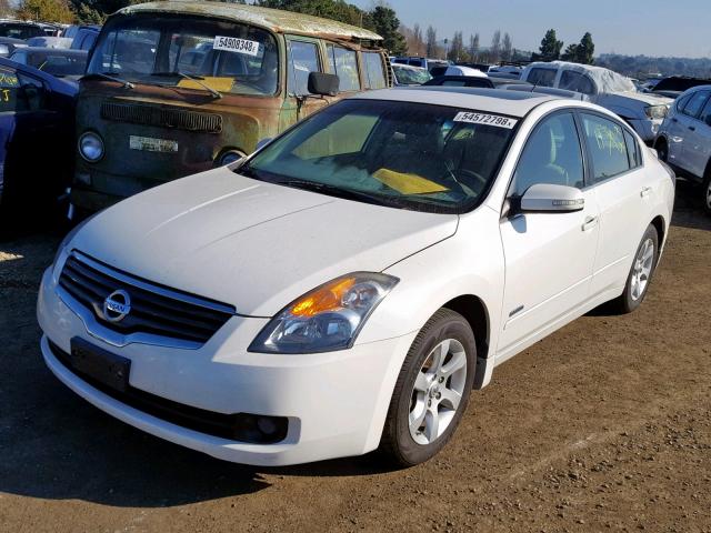 1N4CL21E39C119575 - 2009 NISSAN ALTIMA HYB WHITE photo 2