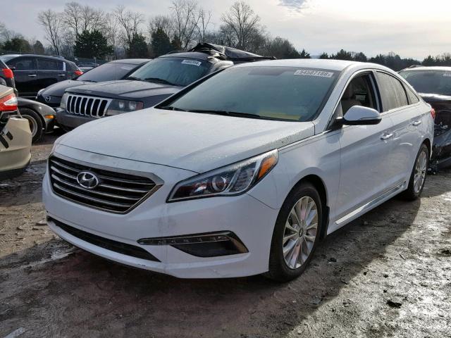 5NPE34AF1FH203627 - 2015 HYUNDAI SONATA SPO WHITE photo 2