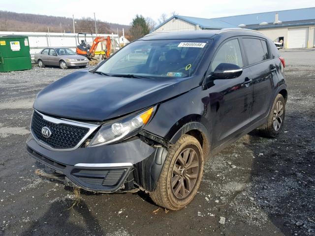 KNDPB3AC6E7570439 - 2014 KIA SPORTAGE B BLACK photo 2