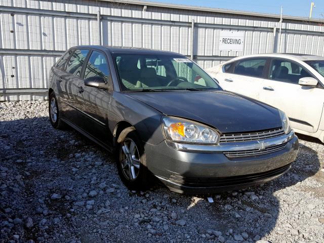 1G1ZT64864F231594 - 2004 CHEVROLET MALIBU MAXX LS  photo 1