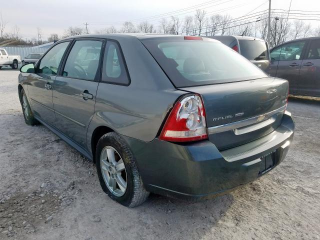 1G1ZT64864F231594 - 2004 CHEVROLET MALIBU MAXX LS  photo 3