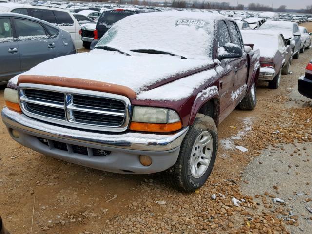 1B7HL48X12S578375 - 2002 DODGE DAKOTA QUA MAROON photo 2