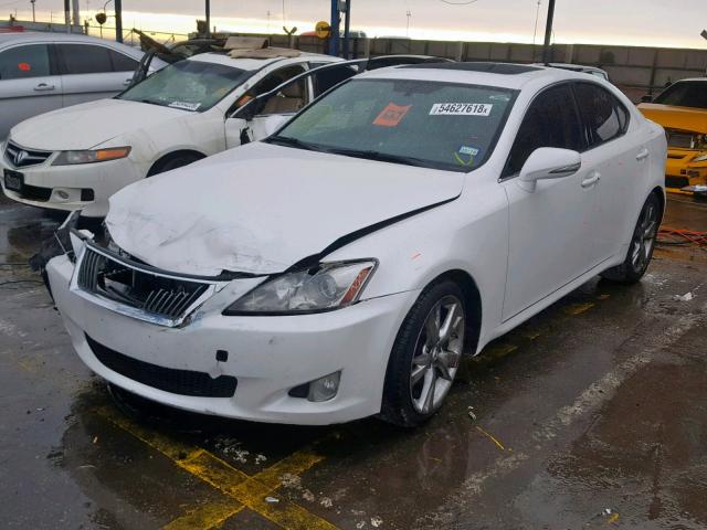 JTHBF5C21A2098591 - 2010 LEXUS IS 250 WHITE photo 2