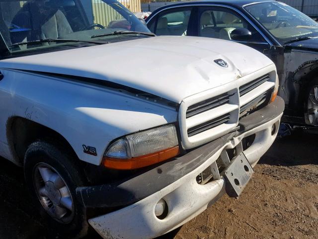 1B7FL26X9XS140533 - 1999 DODGE DAKOTA WHITE photo 9