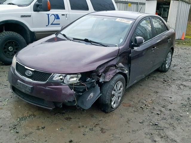 KNAFU4A20A5116905 - 2010 KIA FORTE EX RED photo 2