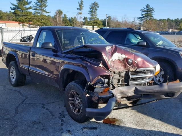 1D7GG16K34S696636 - 2004 DODGE DAKOTA SXT PURPLE photo 1