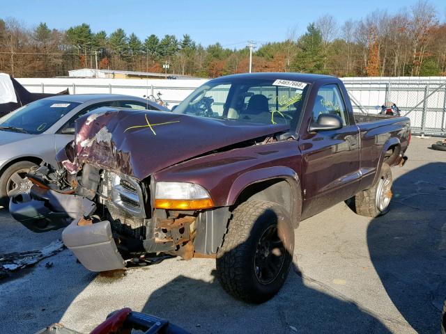 1D7GG16K34S696636 - 2004 DODGE DAKOTA SXT PURPLE photo 2