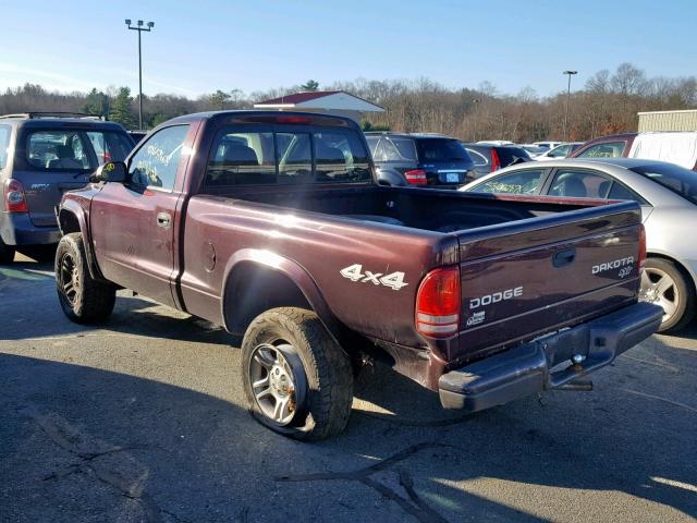 1D7GG16K34S696636 - 2004 DODGE DAKOTA SXT PURPLE photo 3