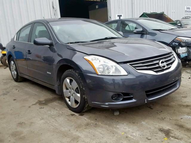 1N4CL2AP3AC168863 - 2010 NISSAN ALTIMA HYB GRAY photo 1