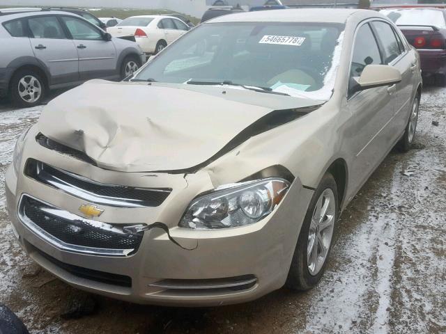 1G1ZC5EB5AF209201 - 2010 CHEVROLET MALIBU 1LT GOLD photo 2