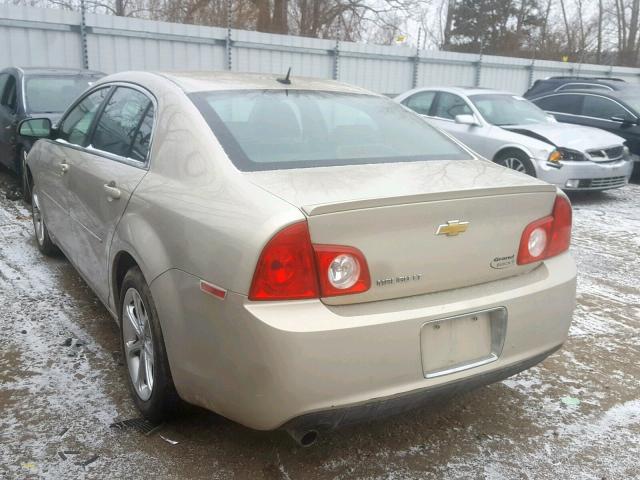 1G1ZC5EB5AF209201 - 2010 CHEVROLET MALIBU 1LT GOLD photo 3