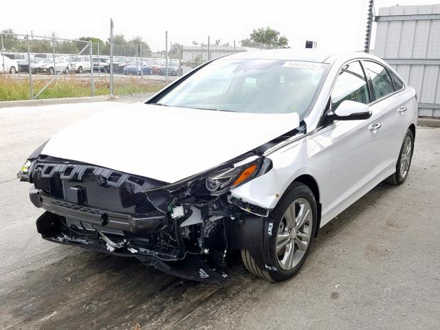 5NPE34AF6KH736244 - 2019 HYUNDAI SONATA SPO WHITE photo 2